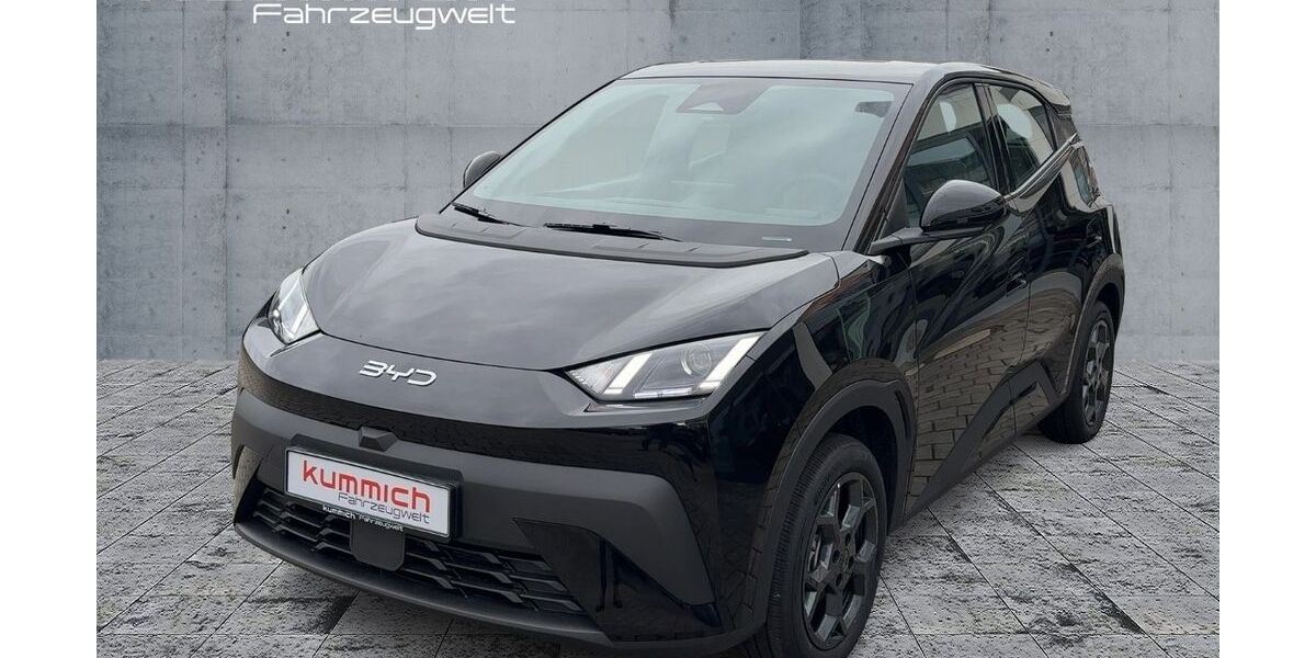 BYD DOLPHIN 1.300 km 21.490 &euro; Fürth 90765