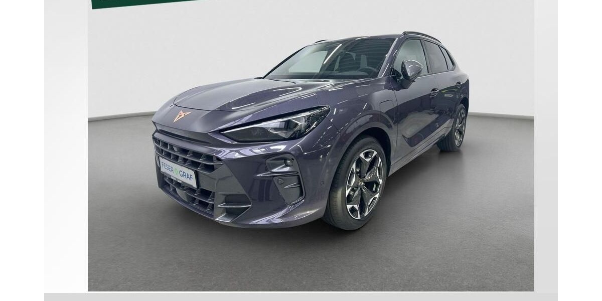 Cupra Terramar 5.000 km 43.980 &euro; Fürth 90763