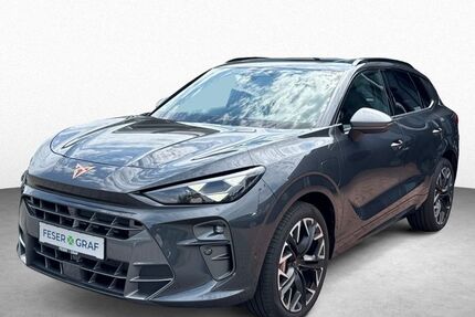 Cupra Terramar 13.700 km 47.990 &euro; Roth 91154