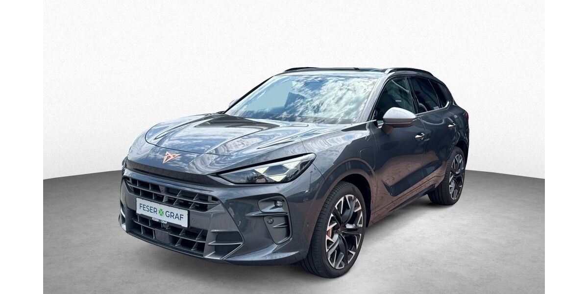 Cupra Terramar 13.700 km 47.990 &euro; Roth 91154