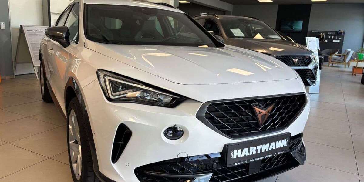 Cupra Formentor 46.417 km 24.790 &euro; Erlangen 91056