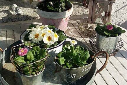 Haus Schwanstetten Schwand - 6 Zimmer, 139 m&sup2;, 460.000&euro; | Angebot:25663652