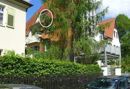 Etagenwohnung Nürnberg Mögeldorf - 2 Zimmer, 80 m&sup2;, 1.115&euro; | Angebot:25895935