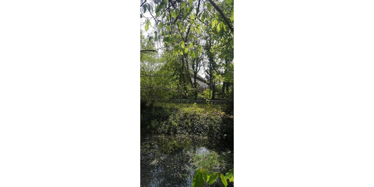 Reihenhaus Zirndorf - 6 Zimmer, 150 m&sup2;, 1.750&euro; | Angebot:26634678