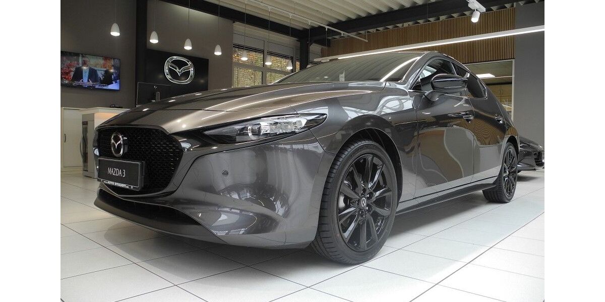 Mazda 3 9.038 km 24.680 &euro; Zirndorf 90513