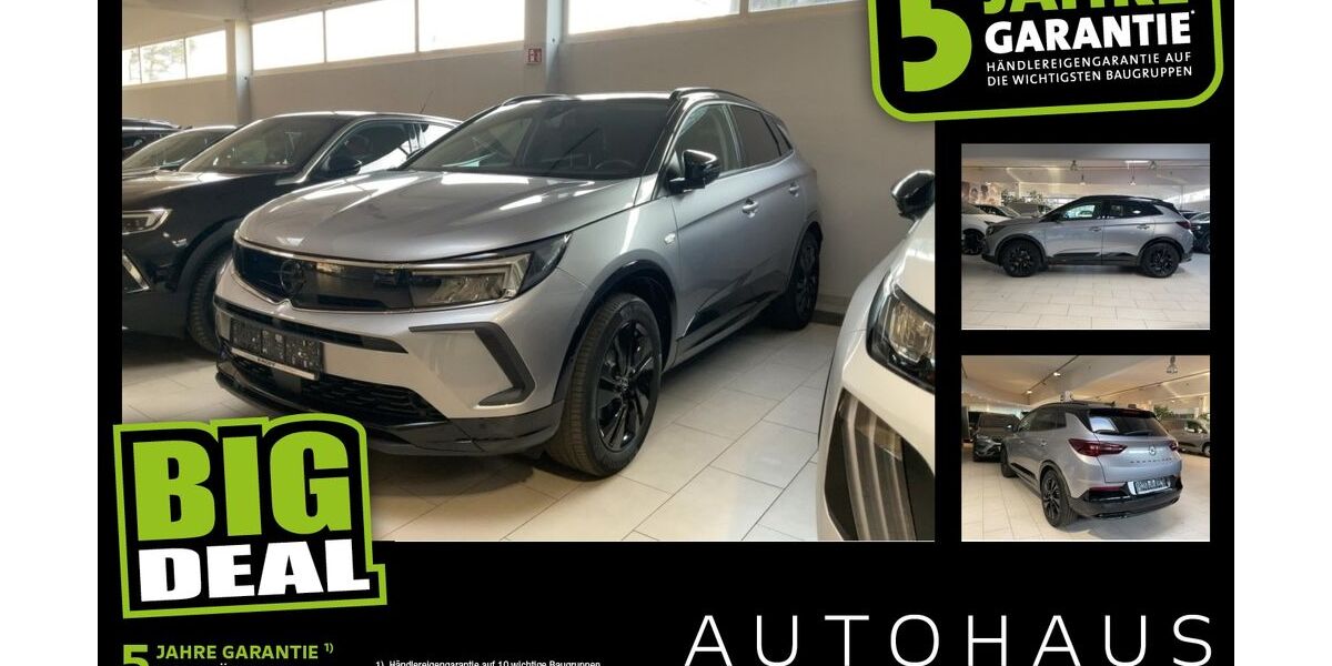 Opel Grandland (X) 53.833 km 16.890 &euro; Fürth 90765