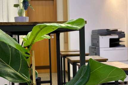 Gewerbeobjekt Nürnberg Herrnhütte - 990&euro; | Angebot:26011721