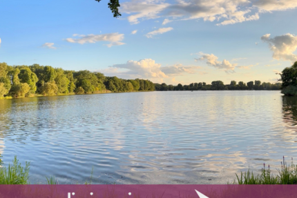 Wohnung Nürnberg Gleißhammer - 2 Zimmer, 68 m&sup2;, 1.000&euro; | Angebot:21576612